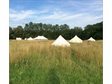 WILD BLUEBELL WOOD - Marquee Venue