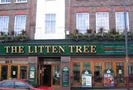 Litten Tree