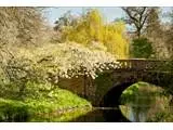 Eleanor's Bridge in the Spring