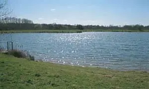 haywards farm trout fishery