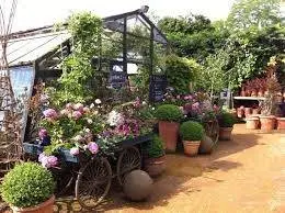 Petersham Nurseries