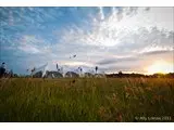 Country Field Weddings