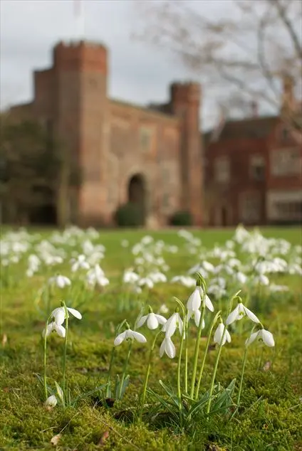 HODSOCK PRIORY - Marquee Venue