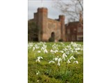 Hodsock Priory - Marquee Venue