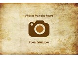 Toni Simion Photography