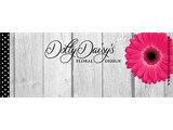 Dotty Daisys