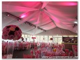 Laceys Event Services Ltd