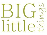 Big Little Things