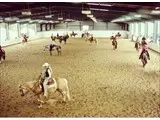 Horse Creek Farm arena 