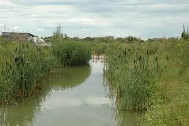 Finch Farm Fishery