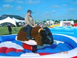 Listing image for Entertainers, Marquees & associated equipment, Rodeo Bull & Inflatable games