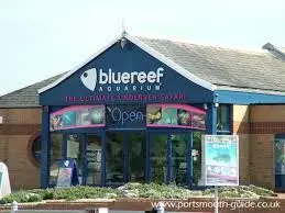 Blue Reef Aquarium Portsmouth