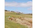 Newcastleton Golf Club