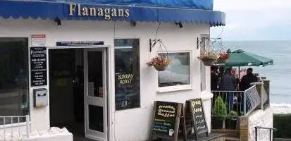 Flanagans