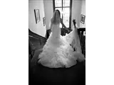 Wedding shot