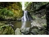 Hareshaw linn