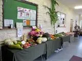 Display of vegetables