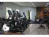 The Gym