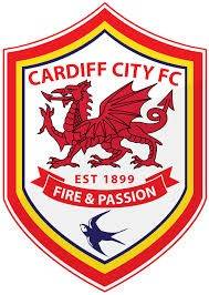 Cardiff City Football Club (Bluebirds), Cardiff