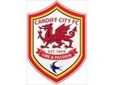 Cardiff City Football Club (Bluebirds), Cardiff