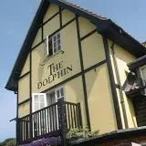 Dolphin Inn