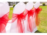 Listing image for Organza Sashes