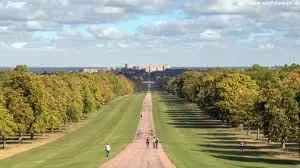 Windsor Great Park