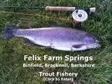 Felix Farm Springs Trout Fishery