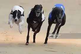 Coral Romford Greyhound Stadium