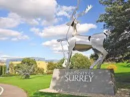 University of Surrey