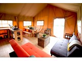Eco Luxury Glamping Safari Lodges - Sleeps up to 20 