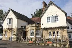 The Swan