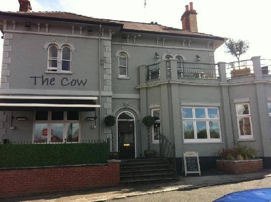 The Cow, Poole