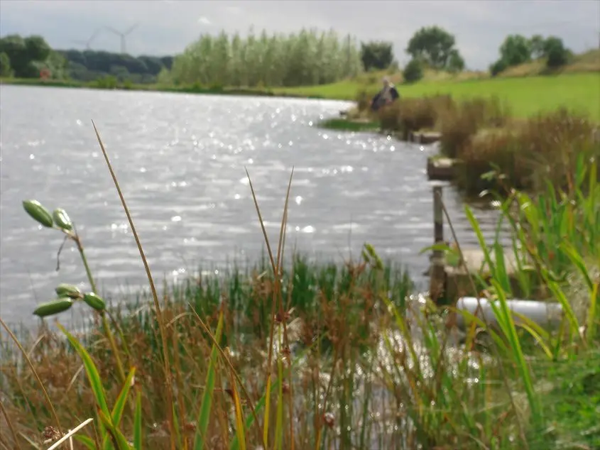 Fishing Lakes Fishing Lakes