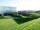 Garden / Amphitheatre