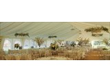 Palms Hill Weddings & Events - Marquee Venue