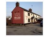 The Red Lion (Sycamores)