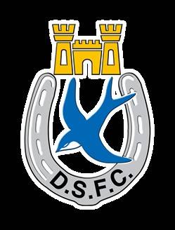 Dungannon Swifts Football Club, Dungannon