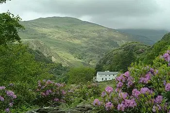 Bryn Eglwys Country House Hotel