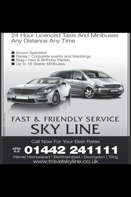 Ace Skyline Taxis & Minibuses