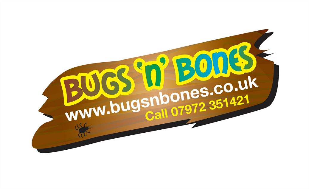 Bugs n Bones